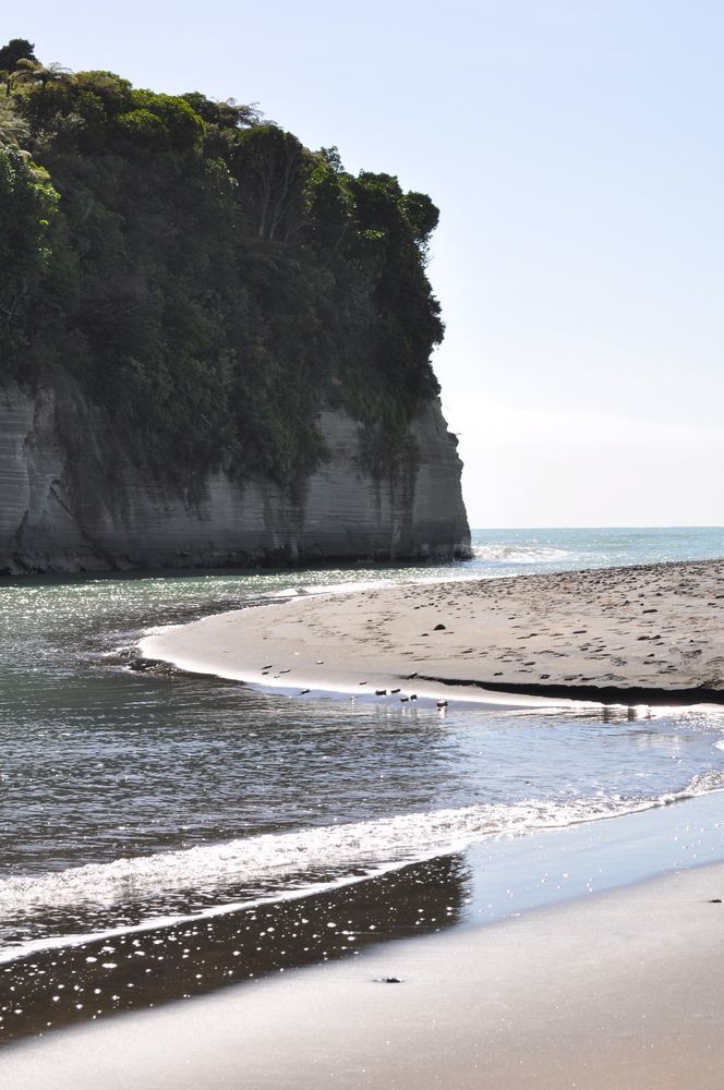 Urenui Beach Camp Exterior photo